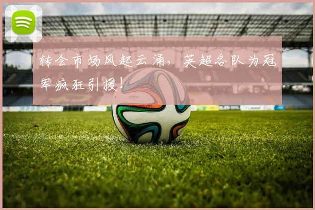 转会市场风起云涌，英超各队为冠军疯狂引援！